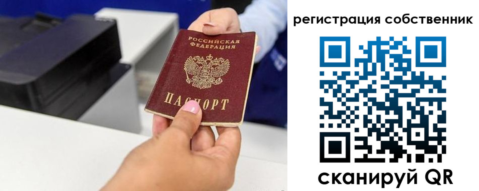 прописка для школы в Сасово
